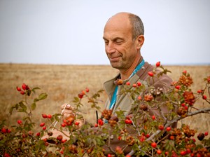 Шиповник