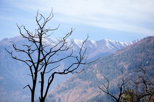 Отроги Гималаев